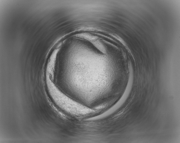 X0000066120799200603311534