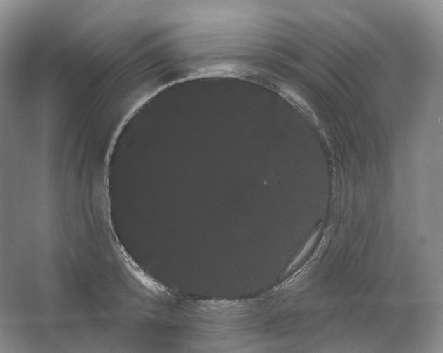 X0000066120800200603311534