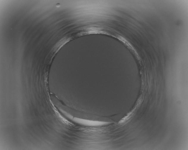 X0000066120801200603311534