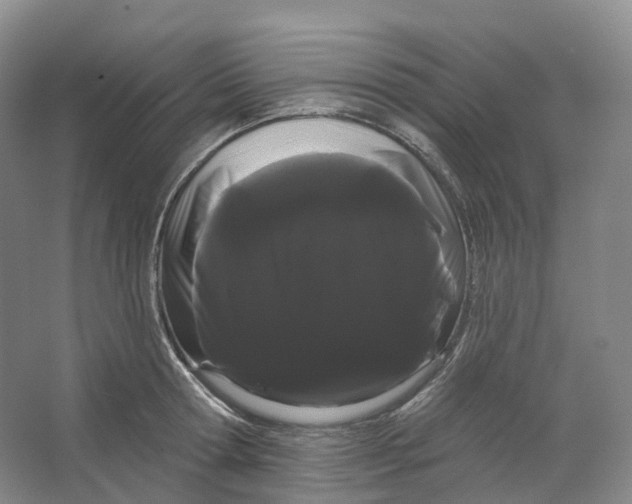 X0000066120802200603311534