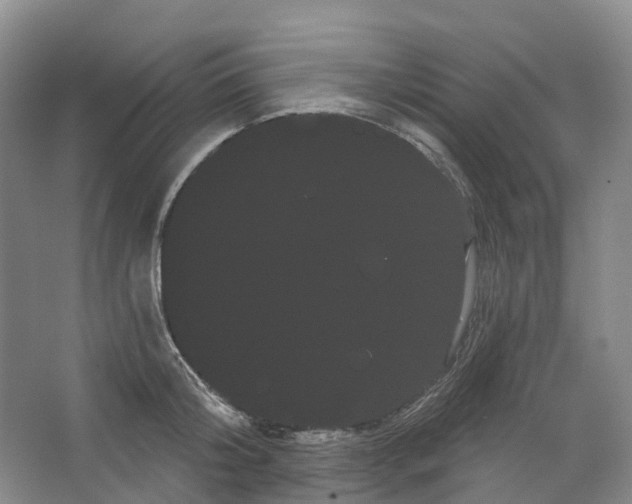 X0000066120804200603311534