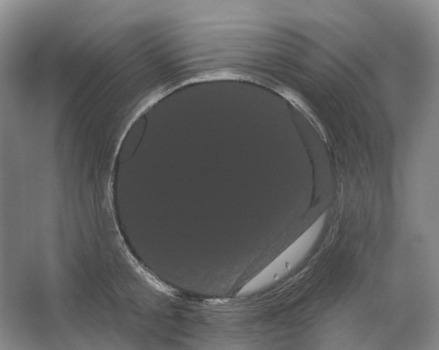 X0000066120805200603311534