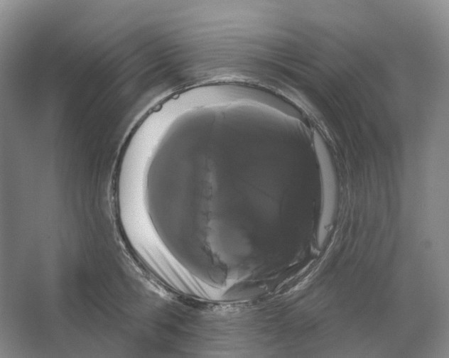 X0000066120806200603311534