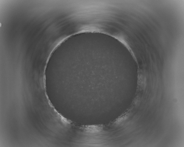 X0000066120807200603311534