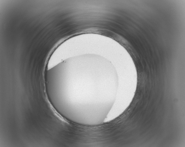 X0000066120808200603311534