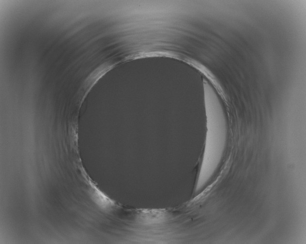 X0000066120809200603311534