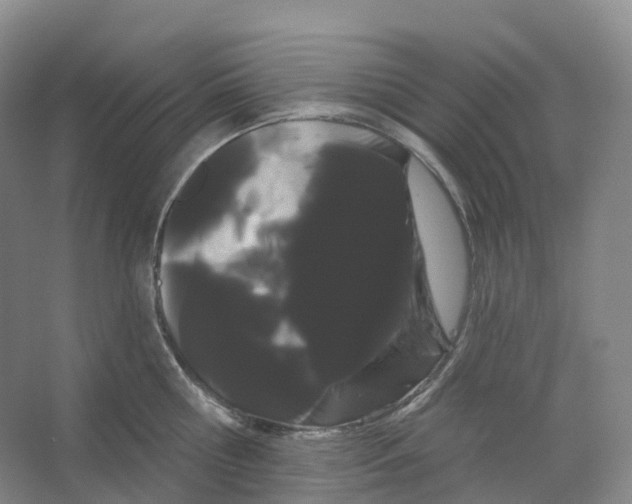 X0000066120810200603311534