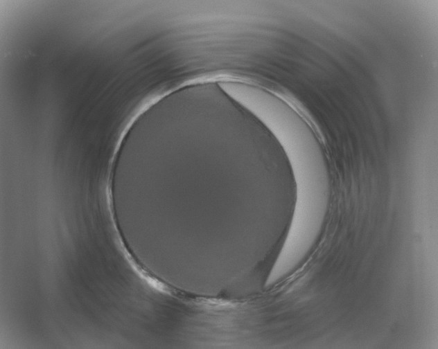 X0000066120813200603311534