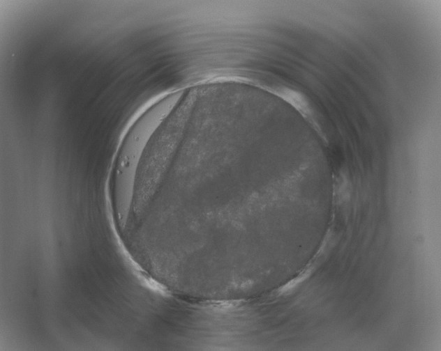 X0000066120814200603311534