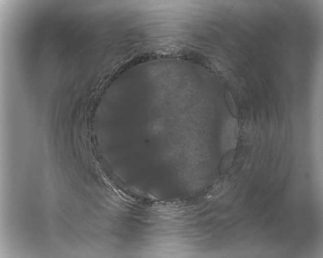 X0000066120817200603311533