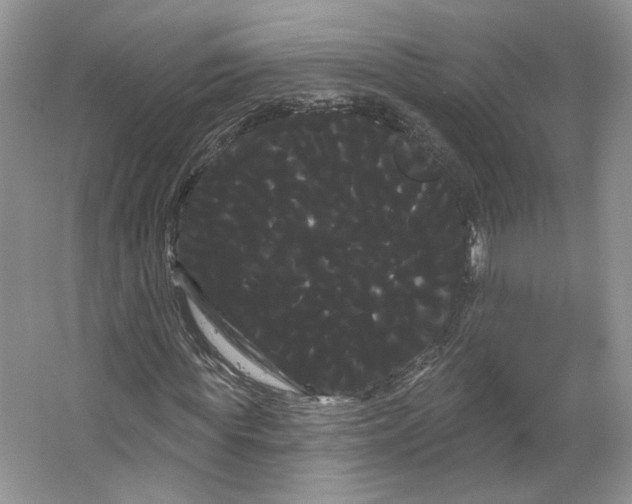 X0000066120819200603311533