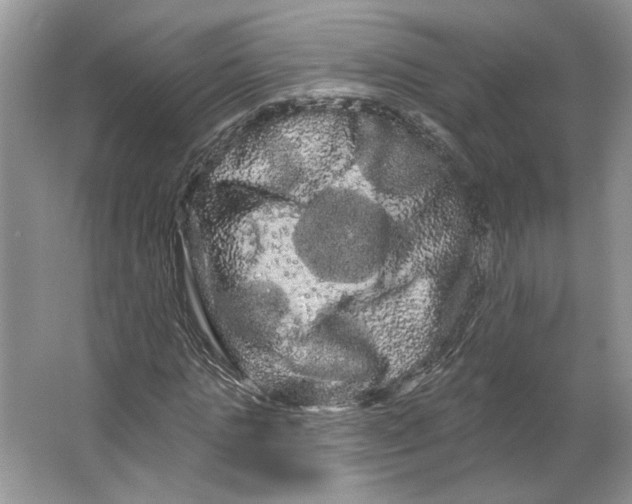 X0000066120821200603311533