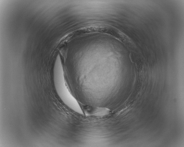 X0000066120822200603311533