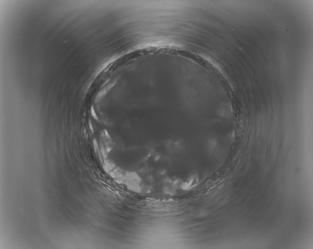 X0000066120823200603311533