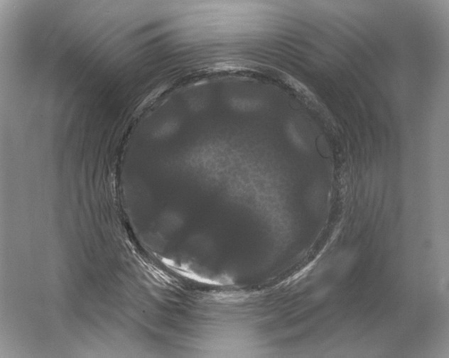 X0000066120825200603311533