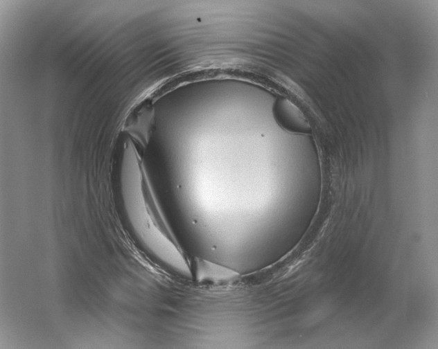 X0000066120826200603311533