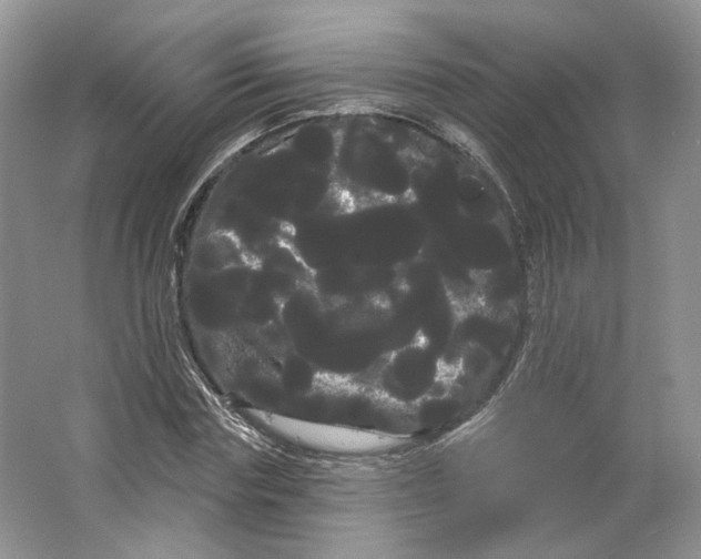 X0000066120827200603311533