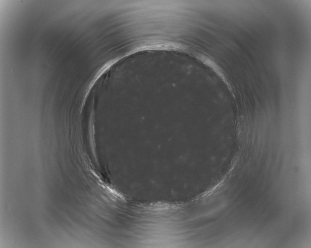 X0000066120829200603311533