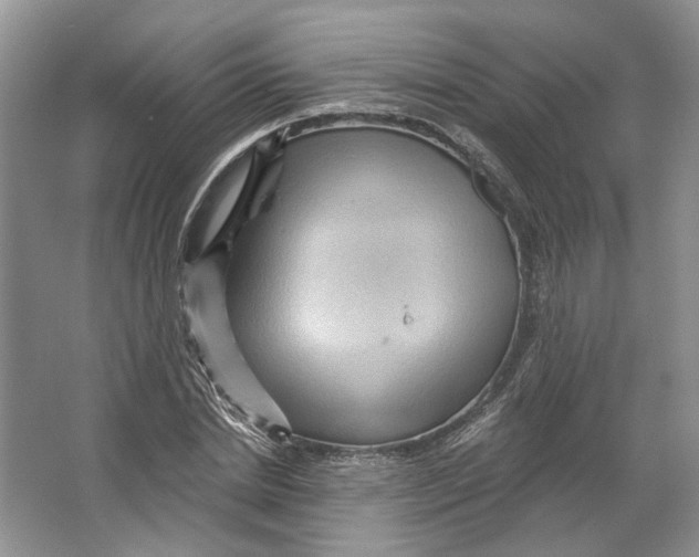 X0000066120830200603311533