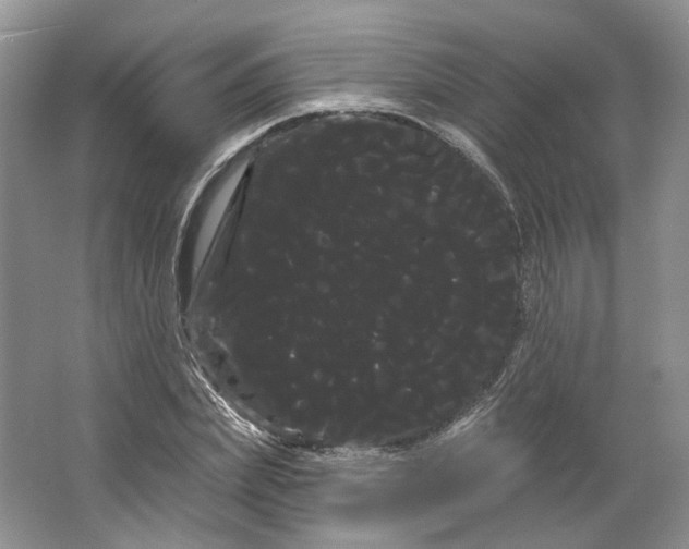 X0000066120831200603311533