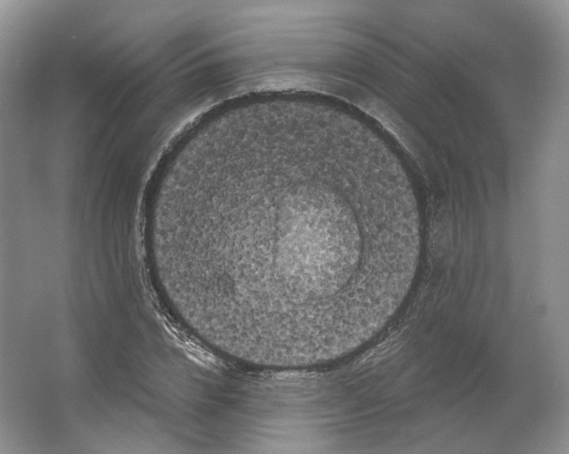 X0000066120832200603311533