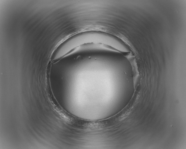 X0000066120834200603311533