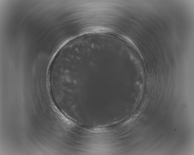 X0000066120835200603311533