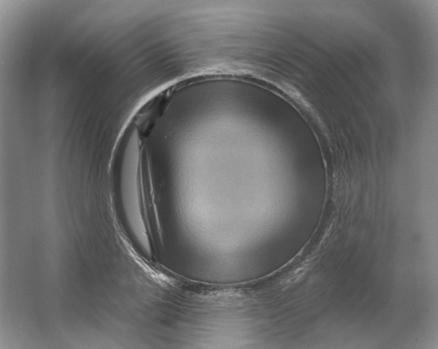 X0000066120838200603311533