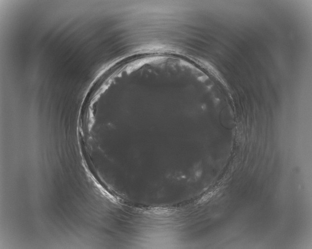 X0000066120839200603311533