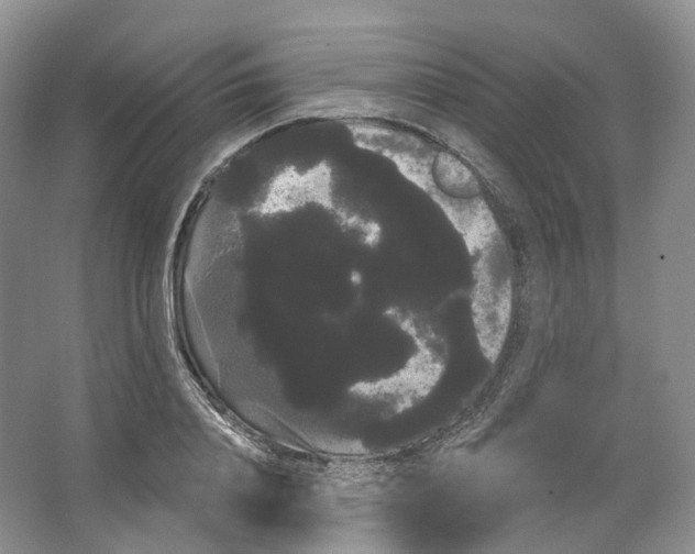 X0000066120840200603311533