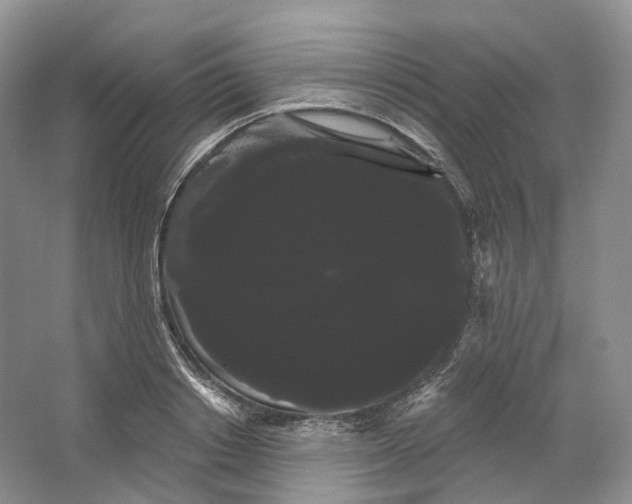 X0000066120842200603311533