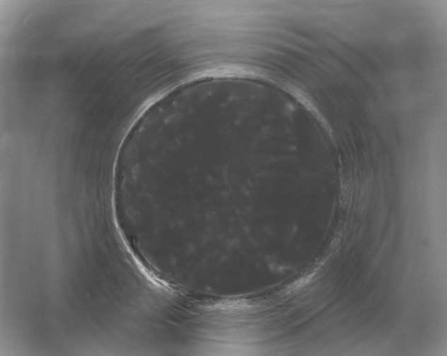 X0000066120845200603311533