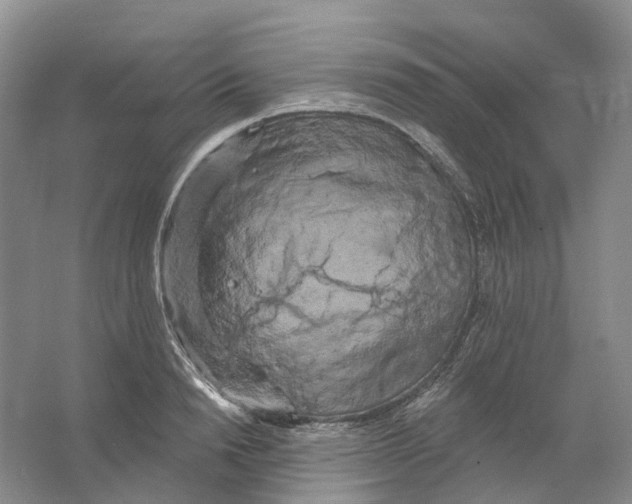 X0000066120846200603311533