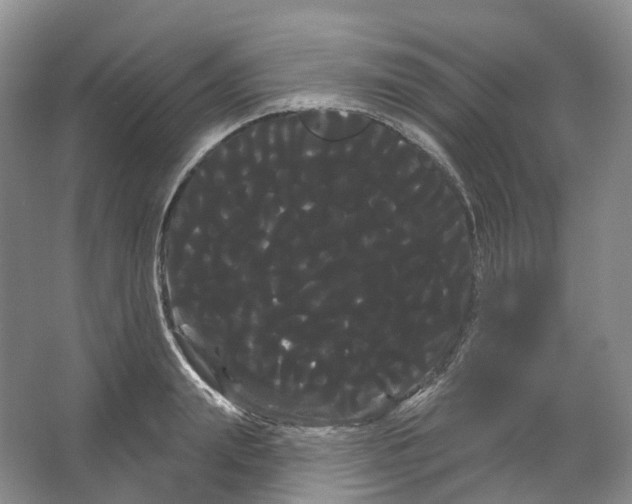 X0000066120847200603311534