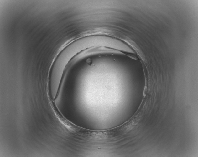 X0000066120850200603311534