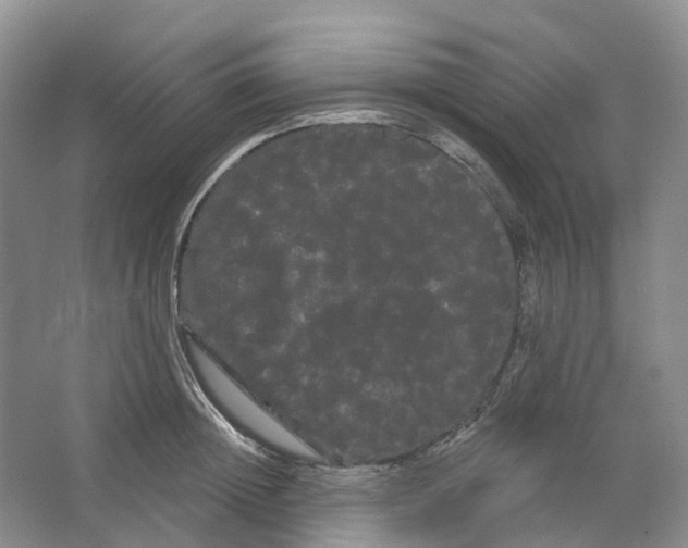 X0000066120852200603311534