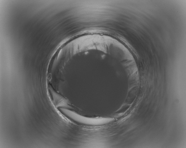 X0000066120853200603311534