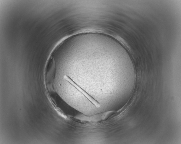 X0000066120854200603311534