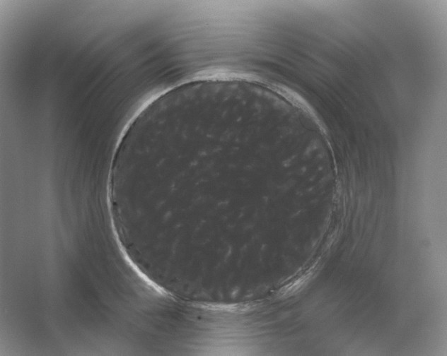 X0000066120855200603311534