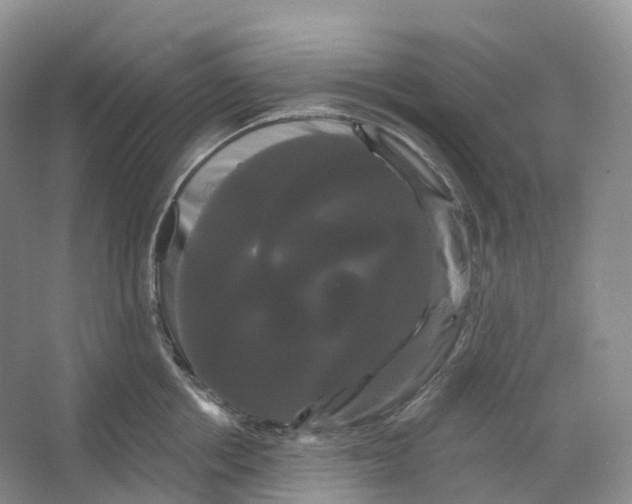 X0000066120858200603311534