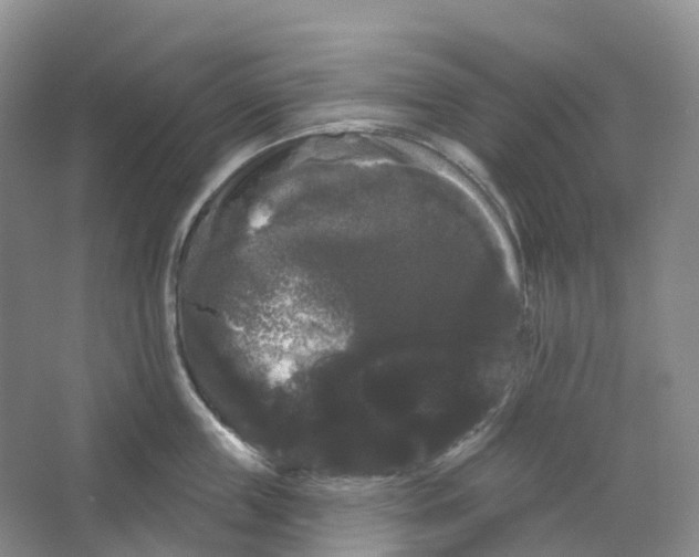 X0000066120859200603311534