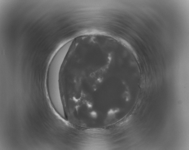 X0000066120863200603311534