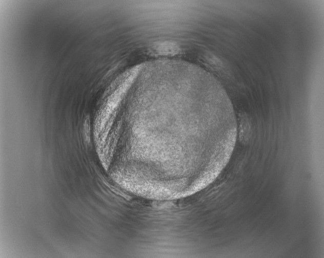 X0000066120866200603311533