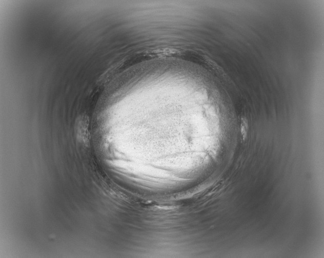 X0000066120867200603311533