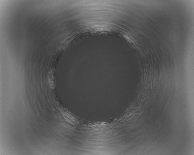 X0000066120868200603311533