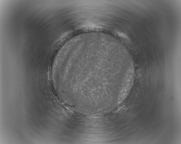 X0000066120870200603311533