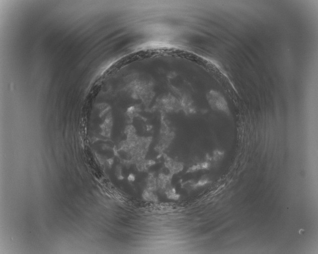 X0000066120871200603311533