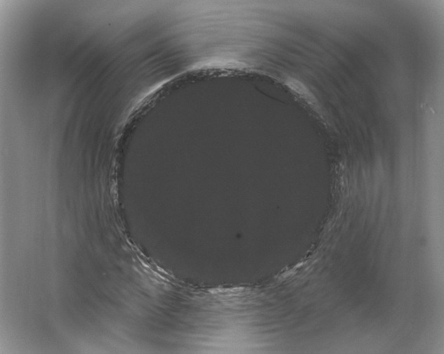 X0000066120872200603311533