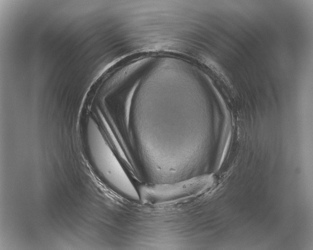 X0000066120876200603311533