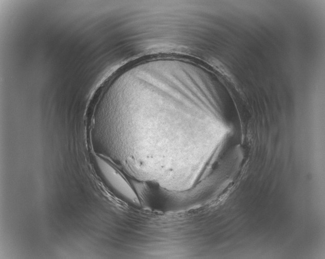 X0000066120877200603311533